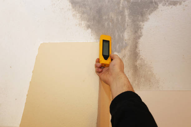 Best Indoor Air Quality Assessment  in Massac, KY
