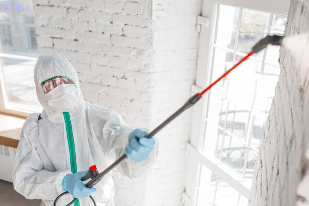Best Mold Remediation for Vacation Homes  in Massac, KY