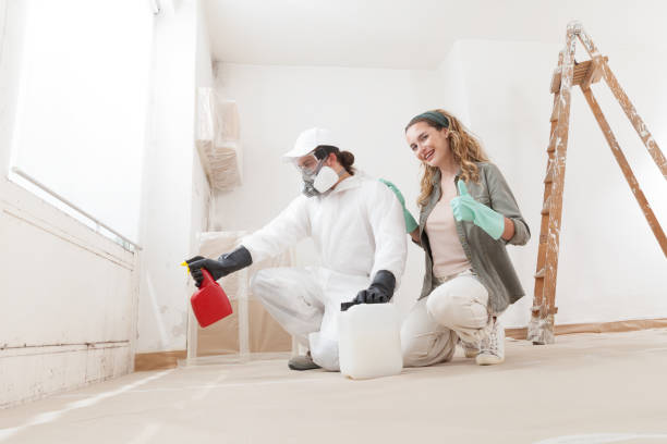 Best Real Estate Mold Inspection  in Massac, KY